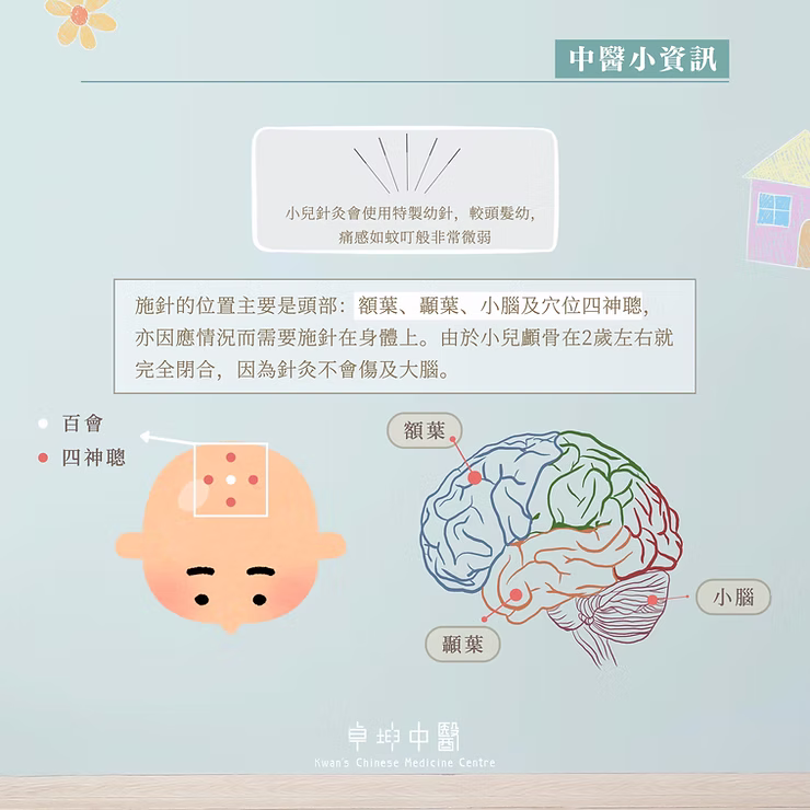 【兒童腦部發育的「黃金時期」】